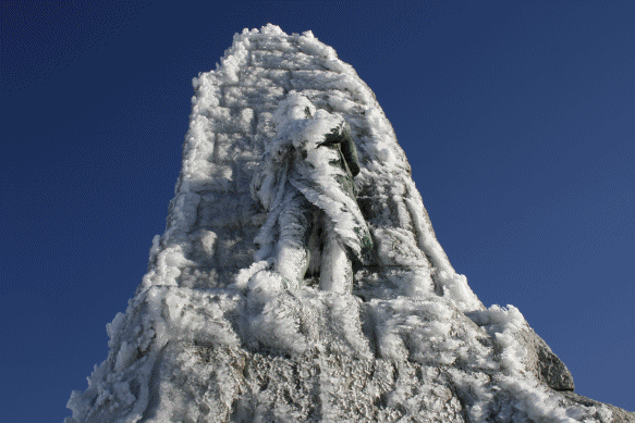 altenbach